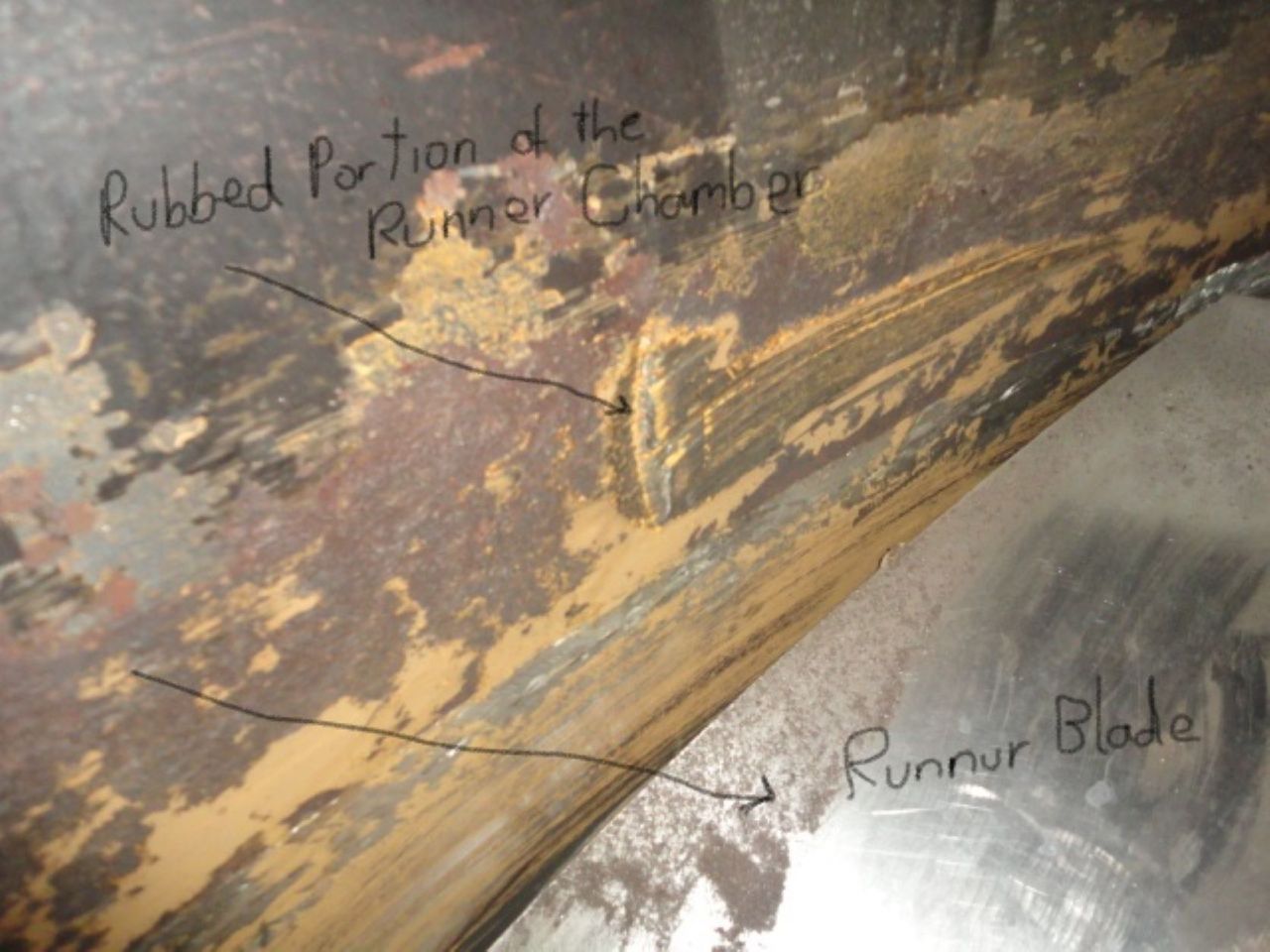 WhatsApp Image 2024-12-30 at 10.45.21 AM (1)